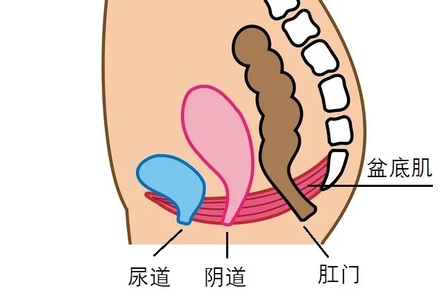 图片 图片